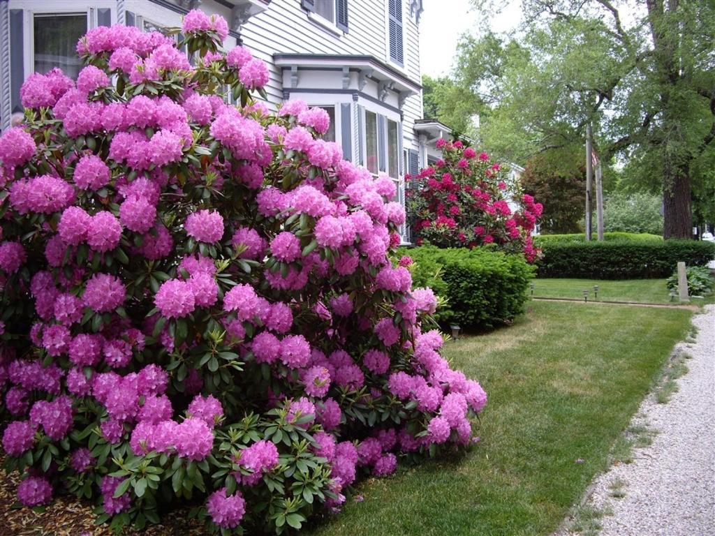 Isaiah Jones Homestead Bed And Breakfast Sandwich Exterior foto